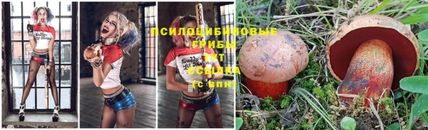 прущая мука Вязьма