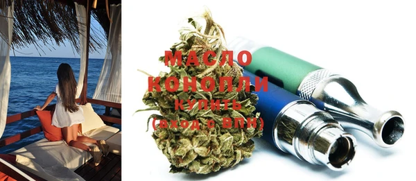 индика Волосово