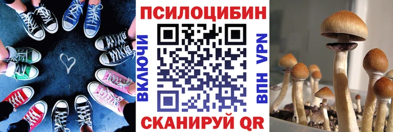 Галлюциногенные грибы ЛСД  наркошоп  Долгопрудный 